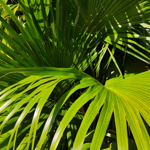 高压水枪冲阴道惩罚文章
